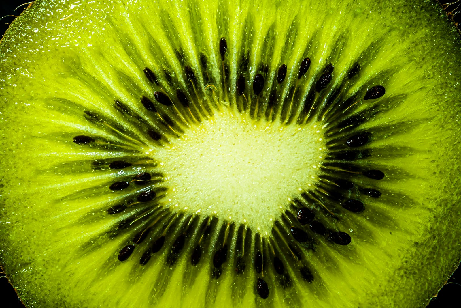 Kiwi Macro